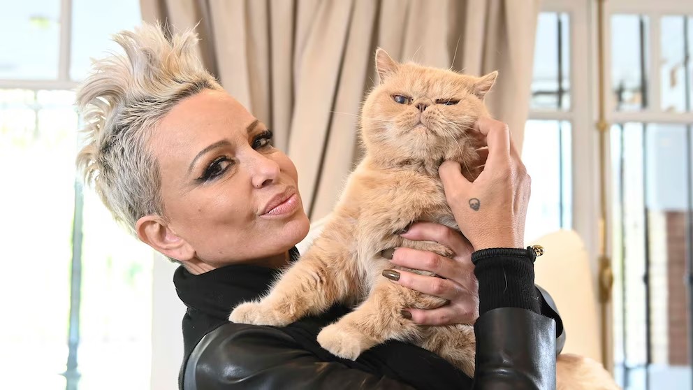El curioso nombre de la gata de Daniela Cardone que volvió a poner en escena un viejo rumor de la farándula